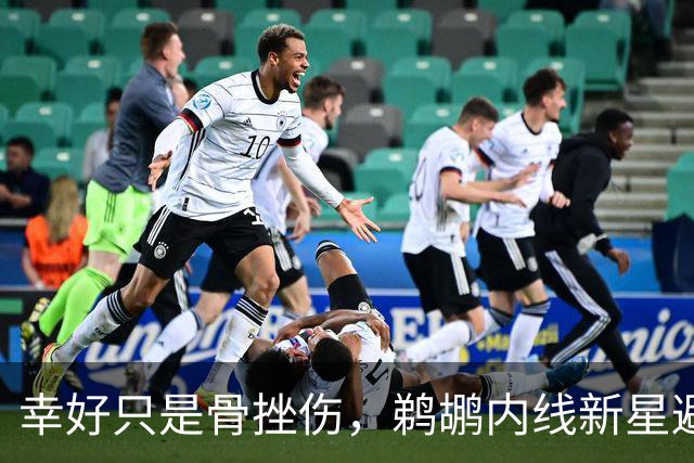 幸好只是骨挫伤，鹈鹕内线新星避免了重大伤病的发生？